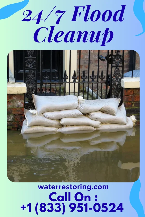 24/7 Flood Cleanup in Santa Claus, GA