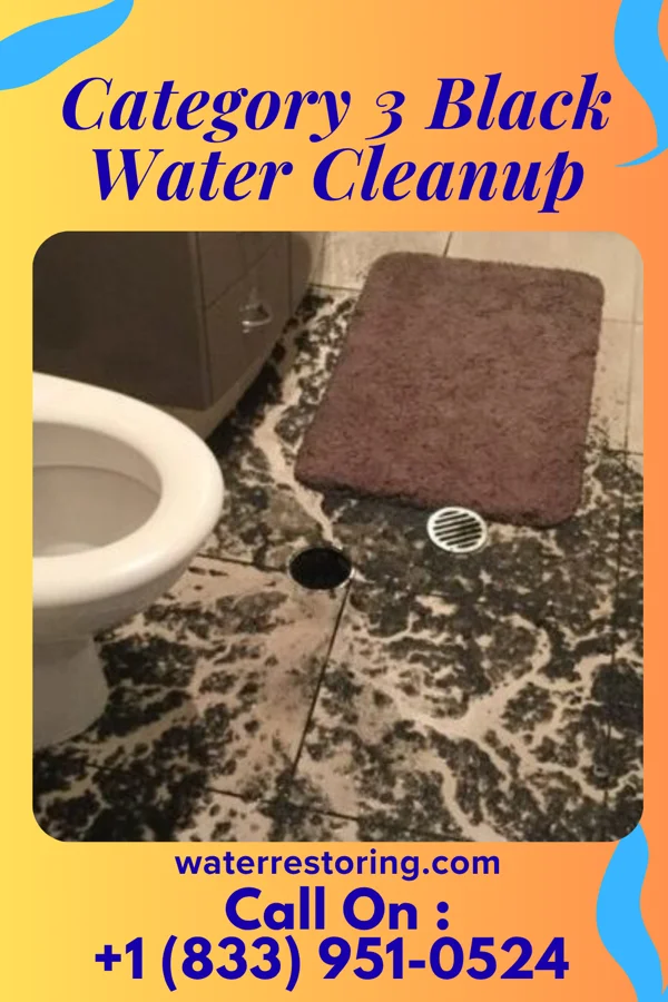 Category 3 Black Water Cleanup in Santa Claus, GA