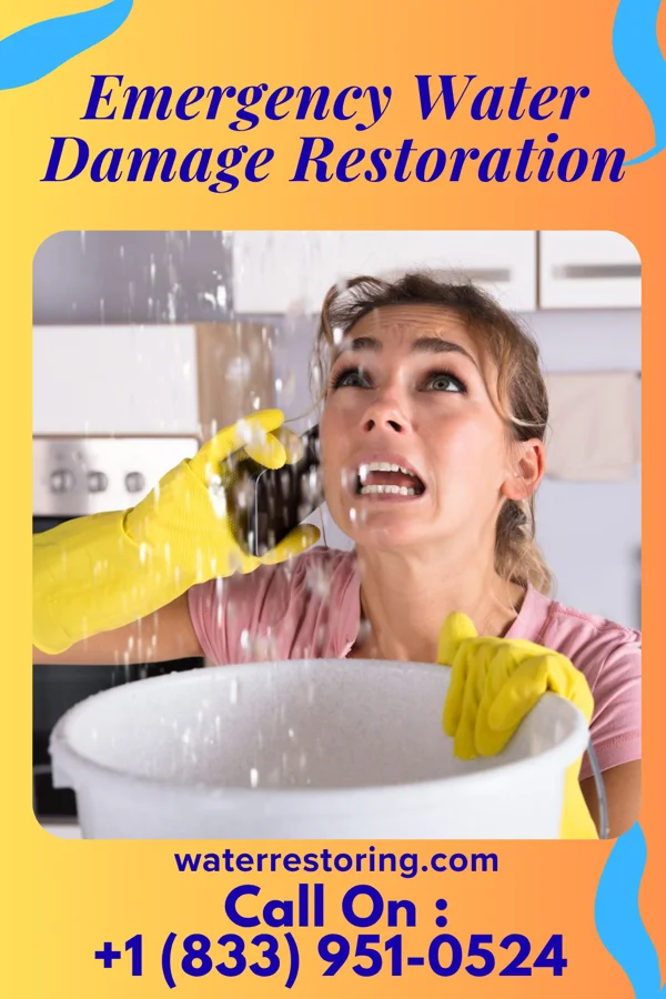 Emergency Water Damage Restoration in Santa Claus, GA