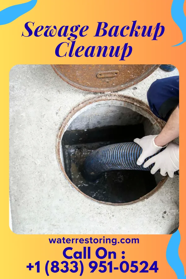 Sewage Backup Cleanup in Santa Claus, GA